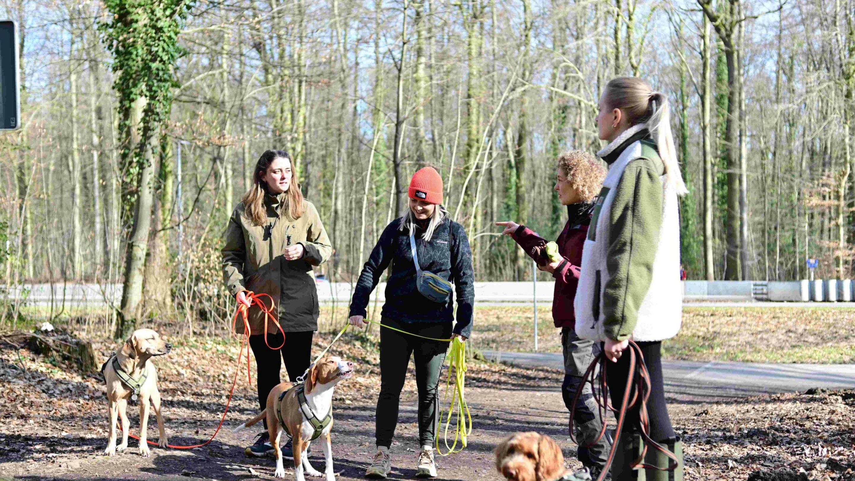 danielamueller-hundetrainerin-leistung-gruppen-beschaeftigung-01 danielamueller-hundetrainerin-leistung-gruppen-beschaeftigung-01